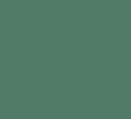 RAL6000 Patina Green Gloss Enamel Custom Mixed Spray Paint 300 Grams 2IS 93a