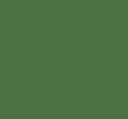RAL6001 Emerald green Custom 1 Litres TB300 Enamel