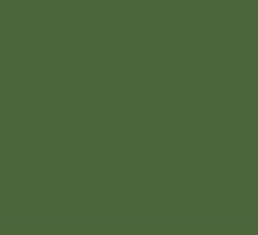 RAL6002 Leaf green Custom Mixed Enamel Spray Paint 300 Grams