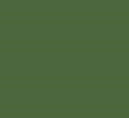 RAL6002 Leaf Green Gloss Enamel Paint Nason 250ML TIN