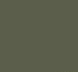 RAL6003 Olive Green Matt 2K DTM Polyurethane 1 Litre PART A