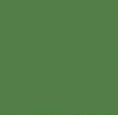 RAL6011 Reseda Green Gloss Custom Mixed Spray Paint 300 Grams