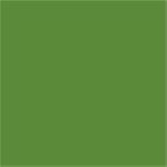 RAL6017 May green Custom Mixed Spray Paint