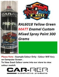 RAL6018 Yellow Green MATT Enamel Custom Mixed Spray Paint 300 Grams 