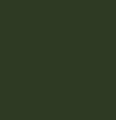 RAL6020 Chrome green Custom GLOSS ENAMEL Mixed Spray Paint 300 GRAMS  4IS 94A