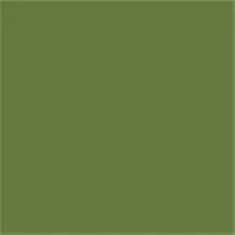 RAL6025 Fern green Custom Mixed Spray Paint