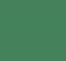 RAL6032 Signal green Custom Mixed Spray Paint