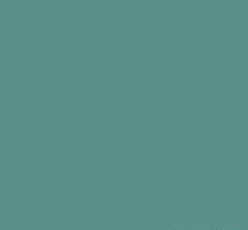 RAL6033 Mint turquoise 2K Direct Gloss Custom Mixed Spray Paint 300 Grams