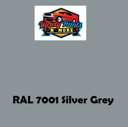 RAL7001 Silver Grey Gloss 2K Direct Gloss Enamel Spray Paint 300 Grams