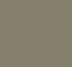 RAL7002 Olive Grey Gloss Enamel Spray Paint 300 Grams