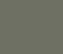 RAL7003 Moss Grey Gloss Enamel Spray Paint 300 Grams