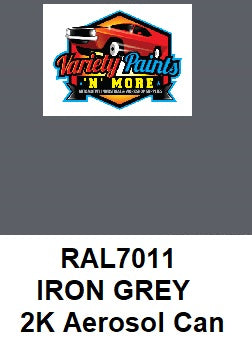 RAL7011 Iron Grey Custom Mixed 2K Spray Paint 300 Gram