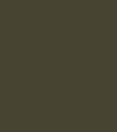 RAL7013 Brown Grey Gloss Enamel Spray Paint 300 Grams