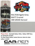 RAL7038 Agate Grey GLOSS Enamel Custom Mixed Spray Paint 300g