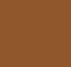 RAL8003 Clay Brown Gloss Enamel Custom Mixed Spray Paint 300 Grams
