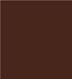 RAL8011 Nut Brown Gloss Enamel Custom Mixed Spray Paint 300 Grams