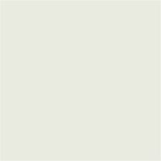 RAL9002 Grey white 2K  Custom Mixed Spray Paint