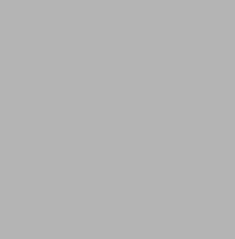 RAL9006 White Aluminium Satin Enamel 300 Grams