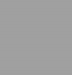 RAL9007 Grey Aluminium Gloss ACRYLIC Spray Paint 300 Grams