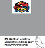 RAL 9022 Pearl Light Grey Metallic Custom Mixed Spray Paint 300 Gram Enamel 