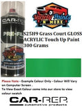 S25H9 Grass Court Gloss Acrylic Touch Up Paint 300 Grams