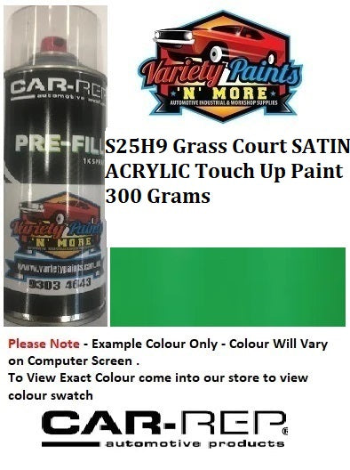 S25H9 Grass Court Satin Acrylic Touch Up Paint 300 Grams