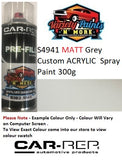 S4941 Matt Grey Custom ACRYLIC  Spray Paint 300g
