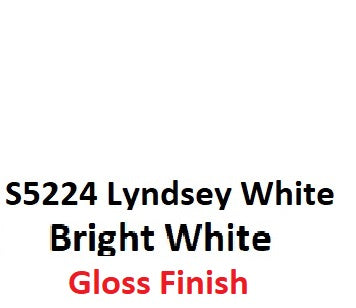 S5224 Lindsey White GLOSS 2K Aerosol Paint 300 Grams