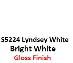 S5224 Lindsey White GLOSS TB510 2K Aerosol Paint 300 Grams