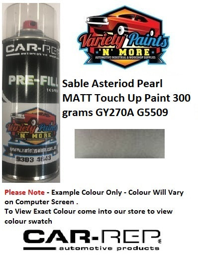 Sable™ Asteriod Pearl Matt GY270A Touch Up Paint 300 grams YY270A G5509