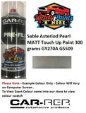 Sable™ Asteriod Pearl Matt GY270A Touch Up Paint 300 grams YY270A G5509 1IS 54A