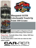 Bluegum Satin Colorbond Touch Up Paint 300 Grams