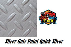 Quicksilver Silver Gal Paint 4 Litre 