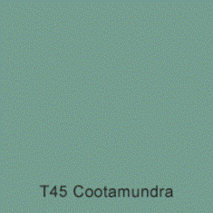 T45 Cootamundra Australian Standard Gloss Enamel 300 Grams