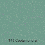 T45 Cootamundra Australian Standard Gloss Enamel 300 Grams