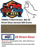 TRIBRO Trident Brown  862 2K Direct Gloss Aerosol 300 Grams 