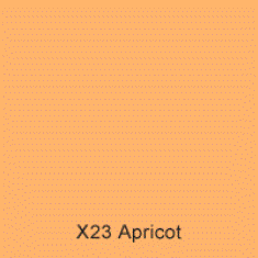 X23 Apricot Australian Standard Satin Enamel Custom Spray Paint 300 Grams