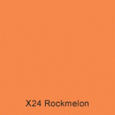 X24 Rock Melon Australian Standard Satin Enamel Custom Spray Paint 300 Grams