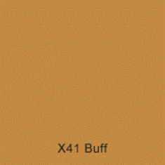 X41 Buff Australian Standards 2K Direct Gloss Custom Spray Paint 300 Grams