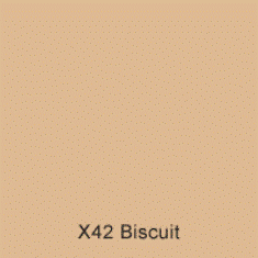 X42 Biscuit Australian  Standard Custom Spray Paint Enamel Gloss 300 Grams 4IS S10
