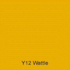 Y12 Wattle Australian Standard Satin Enamel Custom Spray Paint 300 Grams