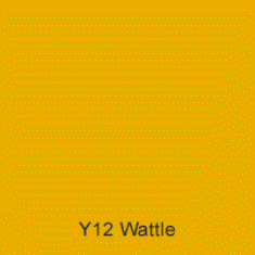 Y12 Wattle Australian Standard Matt Enamel Custom Spray Paint 300 Grams