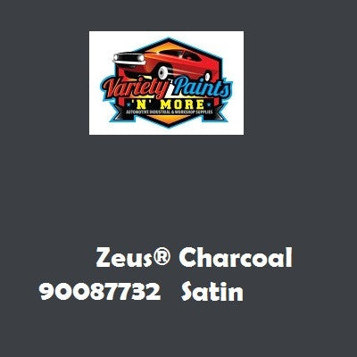 Zeus® Charcoal Satin Powdercoat Matched Spray Paint 300g 90087732 6IS TIN BU5