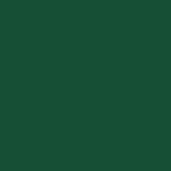 Nason Quick Dry Enamel Colorbond Cottage Green/Evergreen 2 Litres
