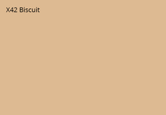 X42 Biscuit Australian Standard 4  Litres Industrial 2K DTM Enamel NASON Paint Topcoat