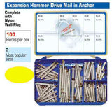 Torres Expansion Hammer Drive Nail in Anchor with Plug 100 Pieces
