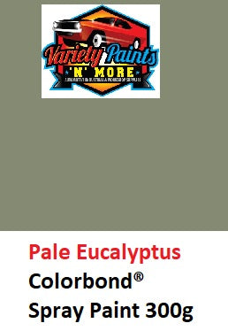 Pale Eucalyptus Satin Colorbond Spray Paint 300g