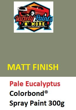 Pale Eucalyptus MATT Colorbond Spray Paint 300g