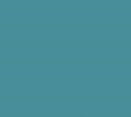 PMS5483 Pantone Custom Spray Paint 300 Grams