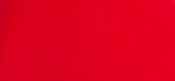 S0529 Bright Red 2K DIRECT GLOSS Touch Up Paint 300 Grams